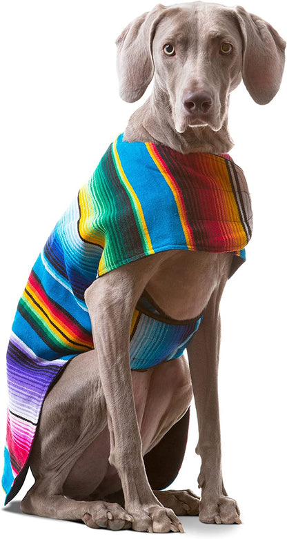 Dog Clothes - Handmade Dog Poncho from Authentic Mexican Blanket (Blue, XXS)