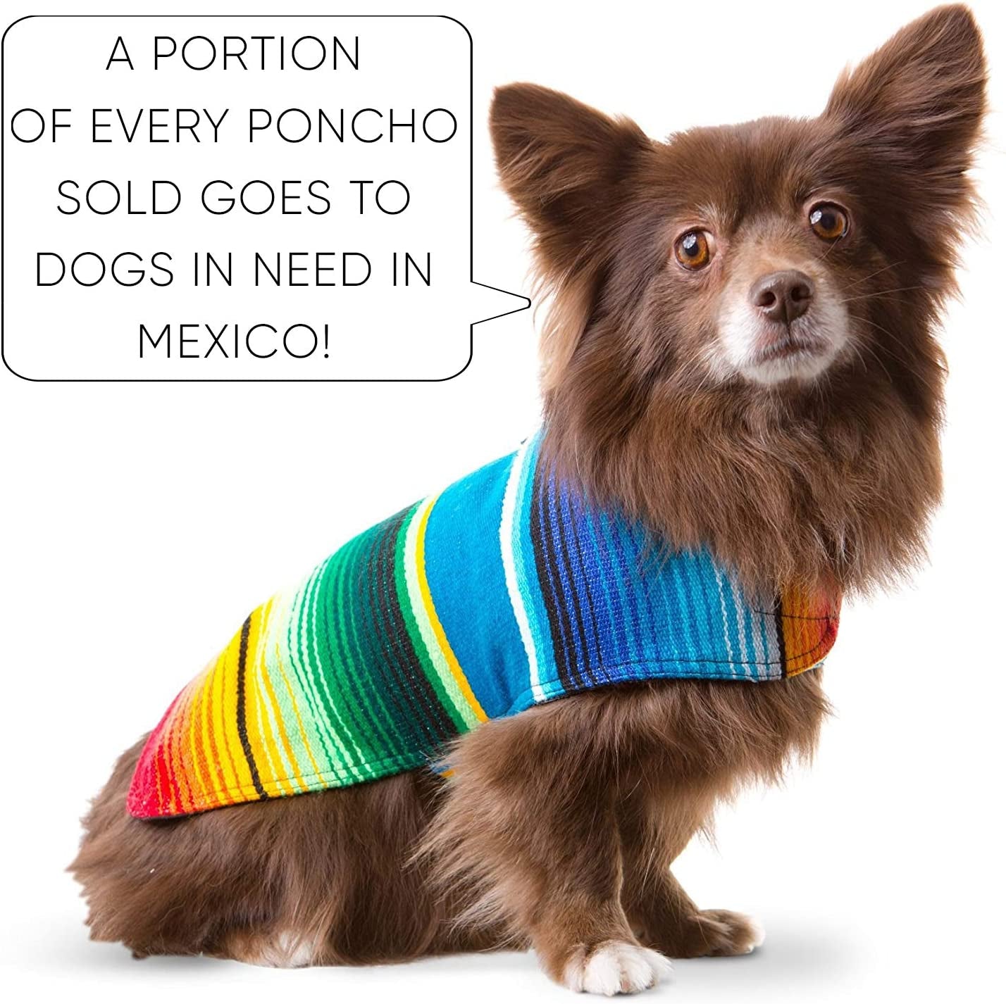 Dog Clothes - Handmade Dog Poncho from Authentic Mexican Blanket (Blue, XXS)