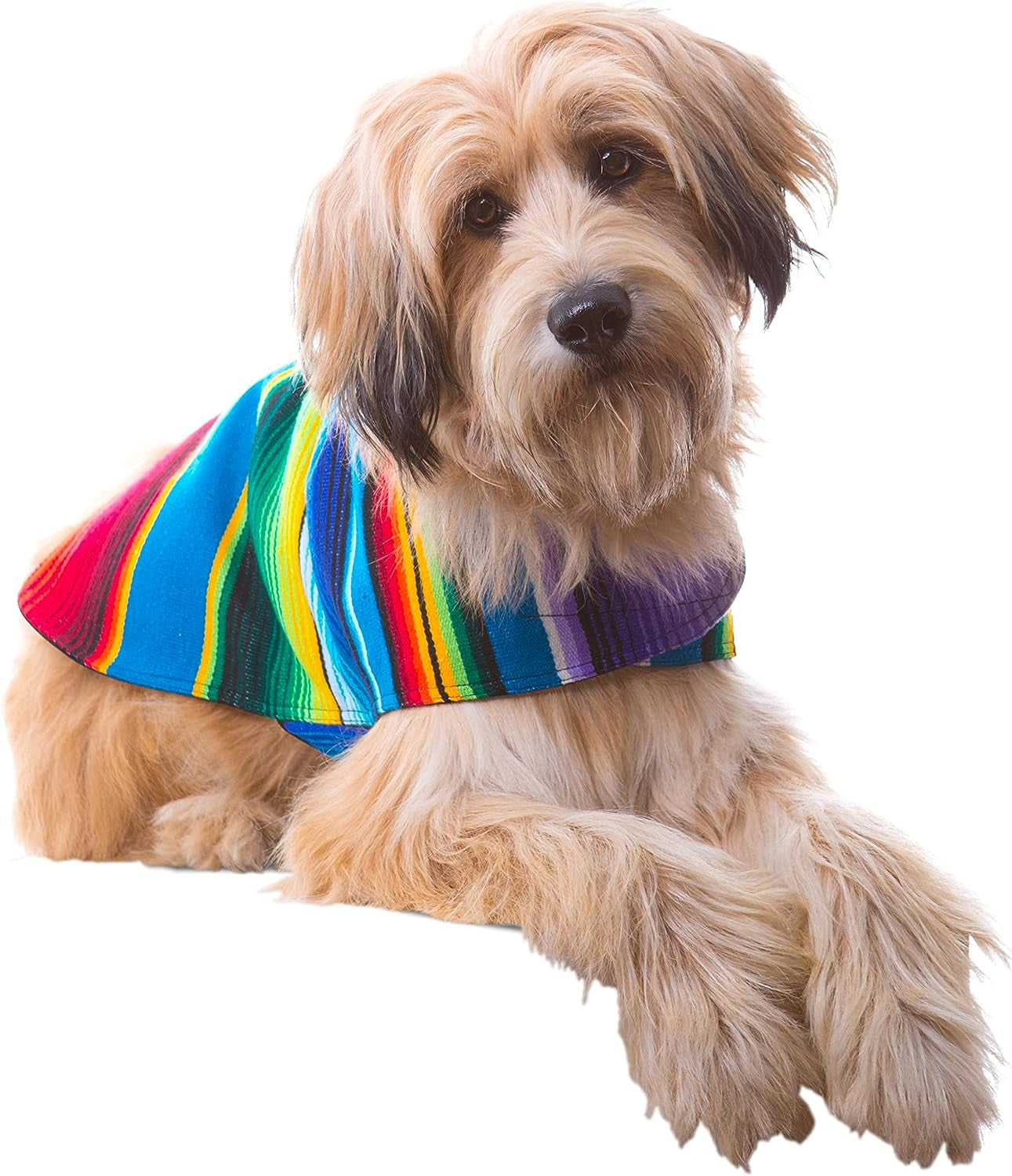 Dog Clothes - Handmade Dog Poncho from Authentic Mexican Blanket (Blue, XXS)