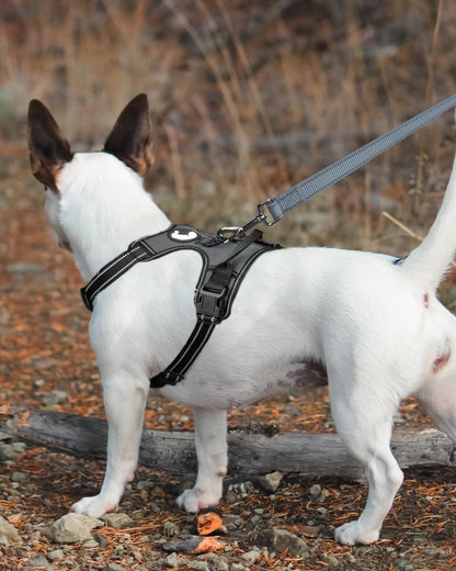 Double-Sided Reflective Dog Leash, 6 FT/5 FT/4 FT, Padded Handle Nylon Dogs Leashes for Small & Medium Dogs Walking, Gray, 5FT